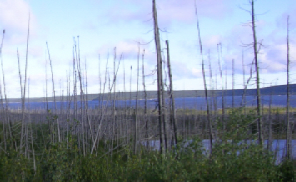 Smallwood Reservoir